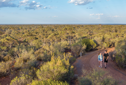 KARLKURLA BUSHLAND PARK